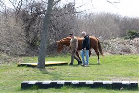 LR-WRF 0402026 Retreat-3382